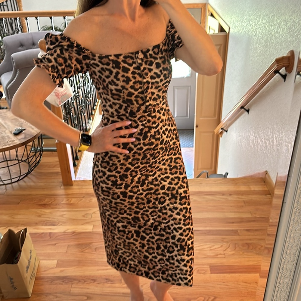 Zara dress
